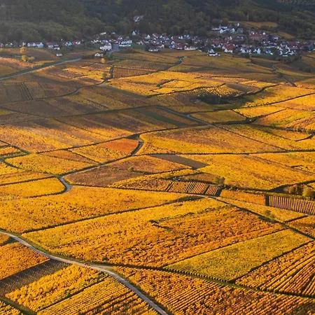 Restaurant La Vallee Noble, Proche Eguisheim Colmar Hotel 3*