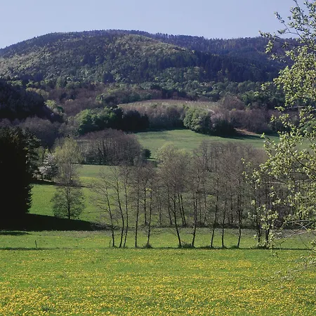 Hotel De La Vallée Noble Soultzmatt