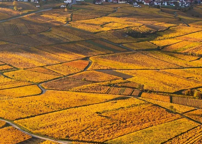 Restaurant La Vallee Noble, Proche Eguisheim Colmar ホテル 3*