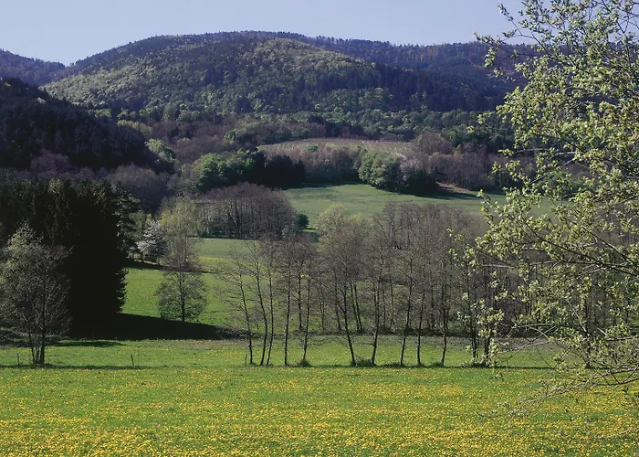 Hotel Restaurant La Vallee Noble, Proche Eguisheim Colmar Soultzmatt